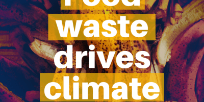 Image of banana peels with the words "Zero Waste Day" in the upper right corner. Superimposed of the center of the image are the words "Food waste drives climate change."